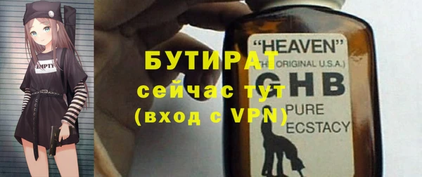 шишки Верея