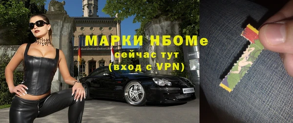 шишки Верея
