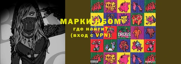 шишки Верея