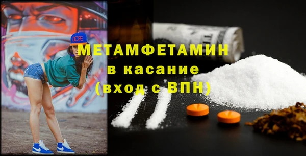 шишки Верея